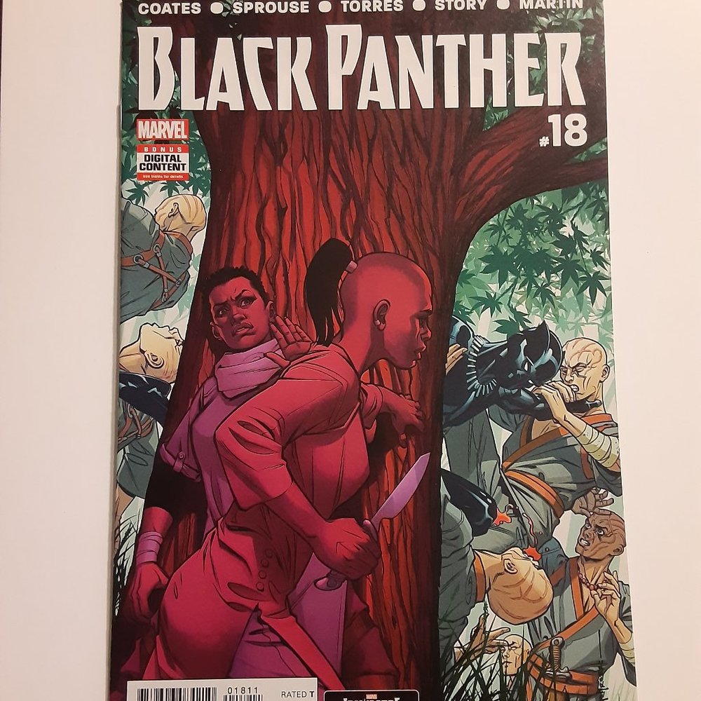 BLACK PANTHER #18 (2016 SERIES) (W) BY TA=NEHISI COATES (C) BY BRIAN STEELFREEZE